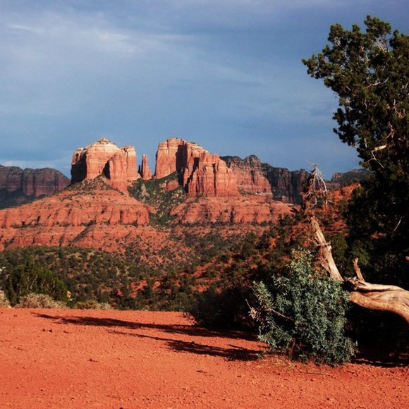 Meet your Posher, Jayma - Picture 4 of 16